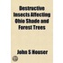 Destructive Insects Affecting Ohio Shade and Forest Trees