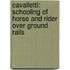 Cavalletti: Schooling Of Horse And Rider Over Ground Rails