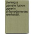 Cloning A Gamete Fusion Gene In Chlamydomonas Reinhardtii.