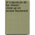 El crepusculo de los dioses / Close-Up on Sunset Boulevard