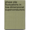 Phase Slip Fluctuations in Low-Dimensional Superconductors door Qiu Chunyin