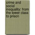 Crime and Social Inequality: From the Lower Class to Prison