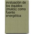 Evaluación de los équidos (mulos) como fuente energética