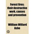 Forest Fires; Their Destructive Work, Causes and Prevention