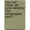 Max und Micha. Die Junior-Detektive vom Wolfgangsee. Band 1 door Klaus Kurt Löffler