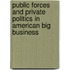 Public Forces and Private Politics in American Big Business