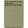 Unter einem Dach- Neue Wege in der Jugendstrafrechtspflege by Heinz Muller