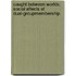 Caught Between Worlds: Social Affects of Dual-groupMembership