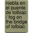 Niebla en el puente de Tolbiac / Fog on the bridge of Tolbiac