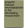 Propofol Induces Neuroapoptosis In The Developing Mouse Brain door Davide Cattano