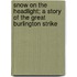 Snow on the Headlight; A Story of the Great Burlington Strike