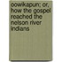 Oowikapun; Or, How the Gospel Reached the Nelson River Indians