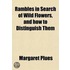 Rambles in Search of Wild Flowers, and How to Distinguish Them