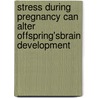 Stress During Pregnancy can Alter Offspring'sBrain Development door Murmu Meena Sriti