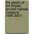 The Glyptic Of Tell Beydar, Ancient Nabada (Seasons 1995-2001)