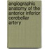 Angiographic Anatomy of the Anterior Inferior Cerebellar Artery