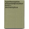 Hyperthermophile Wasserstoffproduktion durch C. saccharolyticus by Florian Schönherr