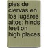 Pies De Ciervas En Los Lugares Altos: Hinds Feet On High Places