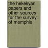 The Hekekyan Papers and Other Sources for the Survey of Memphis door David Jeffreys