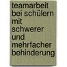 Teamarbeit bei Schülern mit schwerer und mehrfacher Behinderung by Frauke Janz