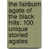 The Fairburn Agate of the Black Hills: 100 Unique Storied Agates