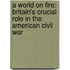 A World on Fire: Britain's Crucial Role in the American Civil War