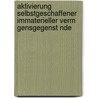 Aktivierung Selbstgeschaffener Immaterieller Verm Gensgegenst Nde door Andreas Kleinke