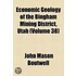 Economic Geology Of The Bingham Mining District, Utah (Volume 38)