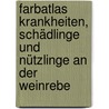 Farbatlas Krankheiten, Schädlinge Und Nützlinge An Der Weinrebe door Horst Diedrich Mohr