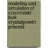 Modeling and Simulation of Czochralski Bulk CrystalGrowth Process