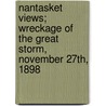 Nantasket Views; Wreckage of the Great Storm, November 27th, 1898 door Onbekend