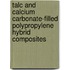 Talc And Calcium Carbonate-filled Polypropylene Hybrid Composites