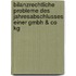 Bilanzrechtliche Probleme Des Jahresabschlusses Einer Gmbh & Co Kg