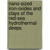 Nano-sized iron-oxides and clays of the Red-Sea hydrothermal Deeps door Nurit Taitel-Goldman