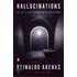 Hallucinations, Or, The Ill-Fated Peregrinations Of Fray Servando /