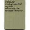 Molecular Mechanisms That Regulate Neuromuscular Synapse Formation. by Getu Gonfa Teressa