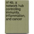 Nf-Kb, a Network Hub Controlling Immunity, Inflammation, and Cancer