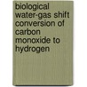 Biological Water-Gas Shift Conversion of Carbon Monoxide to Hydrogen door United States Government