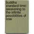 Buddha Standard Time: Awakening To The Infinite Possibilities Of Now