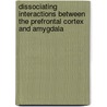 Dissociating Interactions Between The Prefrontal Cortex And Amygdala door John C. Jr Churchwell