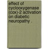 Effect Of Cyclooxygenase (Cox)-2 Activation On Diabetic Neuropathy . door Aaron Kellogg