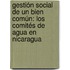 Gestión social de un bien común: Los Comités de Agua en Nicaragua
