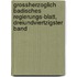 Grossherzoglich Badisches Regierungs-Blatt, Dreiundviertzigster Band