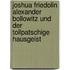 Joshua Friedolin Alexander Bollowitz und der tollpatschige Hausgeist