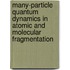 Many-Particle Quantum Dynamics In Atomic And Molecular Fragmentation