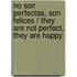 No son perfectas, son felices / They are not Perfect, they are Happy