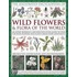 The Illustrated Encyclopaedia Of Wild Flowers And Flora Of The World