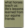 What Horses Teach Us: Life's Lessons Learned from Our Equine Friends door Willowcreek Press