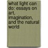 What Light Can Do: Essays on Art, Imagination, and the Natural World