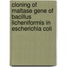 Cloning of Maltase Gene of Bacillus Licheniformis in Escherichia Coli door Shumaila Younas Mughal